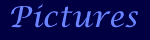 Click here for a description of the Pitures area